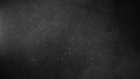Natural Organic Dust Particles Float On Black Background. Dust In Motion. 库存影片 123450044