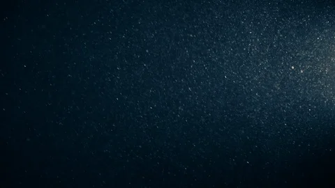Natural Organic Dust Particles Float On Black Background. Dust In Motion. Stock-Footage 123450494