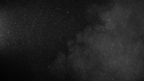 Natural Organic Dust Particles Float On Black Background. Dust In Motion. Vidéo 123450535