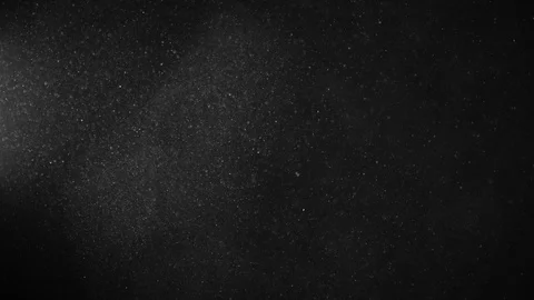 Natural Organic Dust Particles Float On Black Background. Dust In Motion. Stock-Footage 123451167
