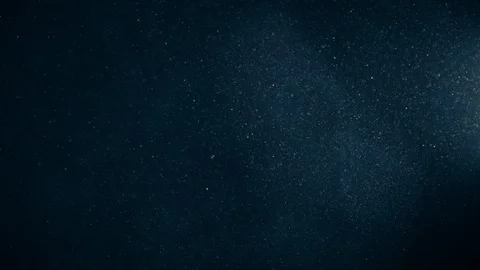 Natural Organic Dust Particles Float On Black Background. Dust In Motion. Stock Footage 123451213