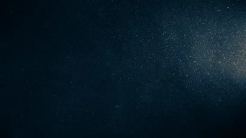 Natural Organic Dust Particles Float On Black Background. Dust In Motion. Stock Footage 123451531