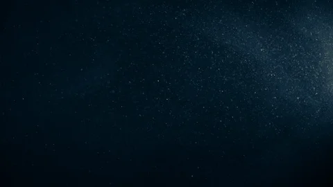 Natural Organic Dust Particles Float On Black Background. Dust In Motion. Vidéo 123451613