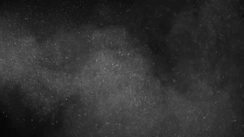 Natural Organic Dust Particles Float On Black Background. Dust In Motion. Stock Footage 123452052