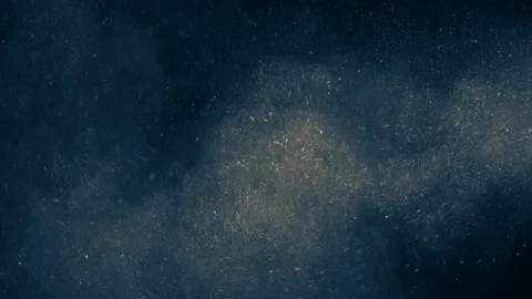 Natural Organic Dust Particles Float On Black Background. Dust In Motion. Stock Footage 123452065