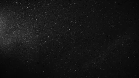 Natural Organic Dust Particles Float On Black Background. Dust In Motion. Stock Footage 123452085