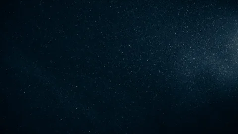 Natural Organic Dust Particles Float On Black Background. Dust In Motion. Stock-Footage 123452101