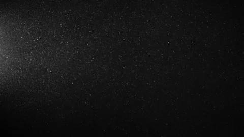 Natural Organic Dust Particles Float On Black Background. Dust In Motion. Stock-Footage 123452112