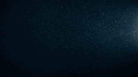 Natural Organic Dust Particles Float On Black Background. Dust In Motion. Vidéo 123452344