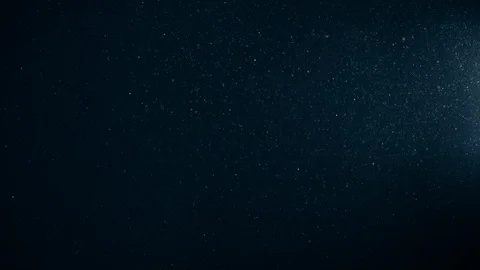 Natural Organic Dust Particles Float On Black Background. Dust In Motion. 库存影片 123452387