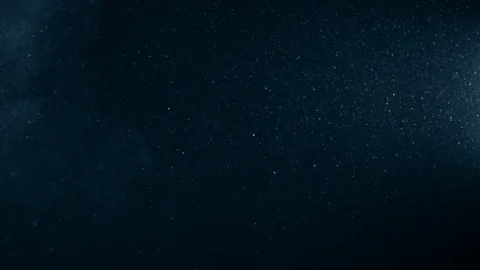 Natural Organic Dust Particles Float On Black Background. Dust In Motion. 库存影片 123452478