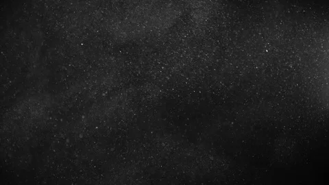 Natural Organic Dust Particles Float On Black Background. Dust In Motion. Vidéo 123452681