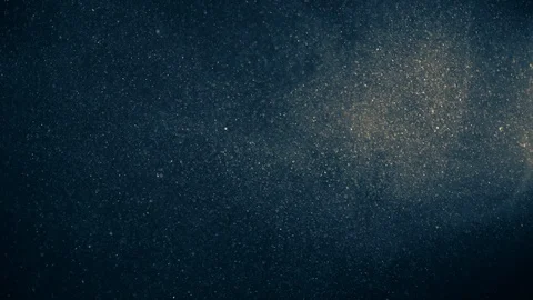 Natural Organic Dust Particles Float On Black Background. Dust In Motion. Stock Footage 123452970