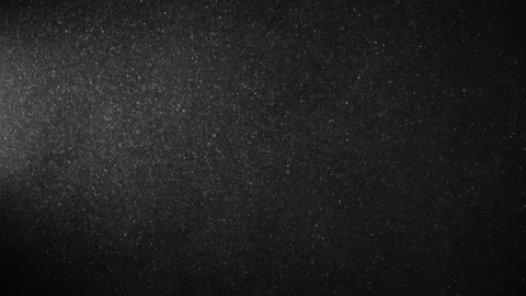 Natural Organic Dust Particles Float On Black Background. Dust In Motion. 库存影片 123452974