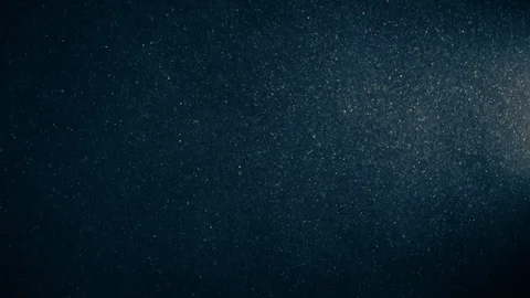 Natural Organic Dust Particles Float On Black Background. Dust In Motion. Stock Footage 123453257
