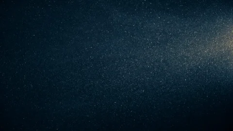 Natural Organic Dust Particles Float On Black Background. Dust In Motion. Vidéo 123453302