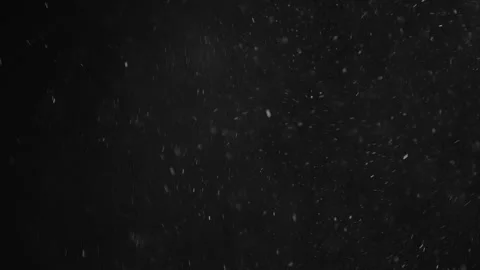 Natural Organic Dust Particles Float On Black Background. Dust In Motion. Vidéo 246880146