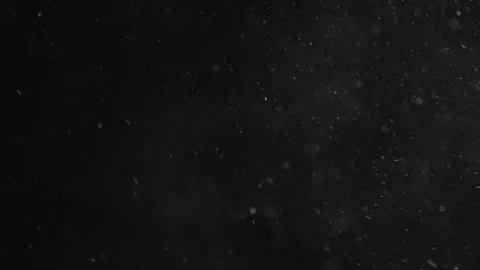 Natural Organic Dust Particles Float On Black Background. Dust In Motion. Vidéo 246880158