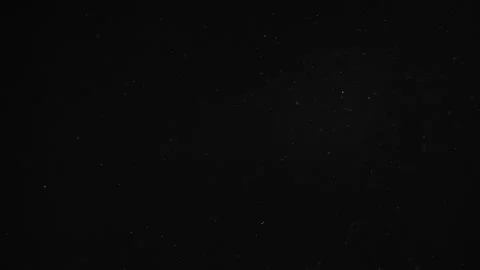 Natural Organic Dust Particles Float On Black Background. Dust In Motion. 库存影片 246880159