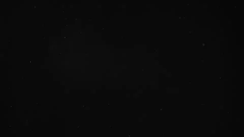 Natural Organic Dust Particles Float On Black Background. Dust In Motion. 库存影片 246880237