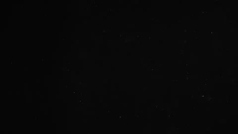 Natural Organic Dust Particles Float On Black Background. Dust In Motion. Stock Footage 246880253