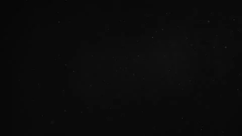 Natural Organic Dust Particles Float On Black Background. Dust In Motion. Stock Footage 246880261