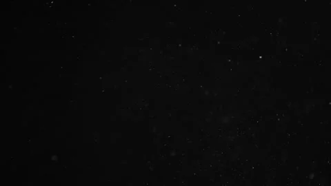 Natural Organic Dust Particles Float On Black Background. Dust In Motion. Vidéo 246880281