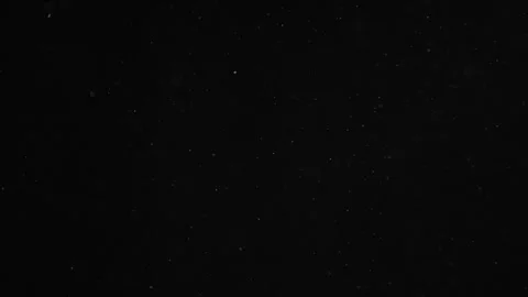 Natural Organic Dust Particles Float On Black Background. Dust In Motion. 库存影片 246880326