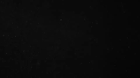 Natural Organic Dust Particles Float On Black Background. Dust In Motion. Stock Footage 246880359