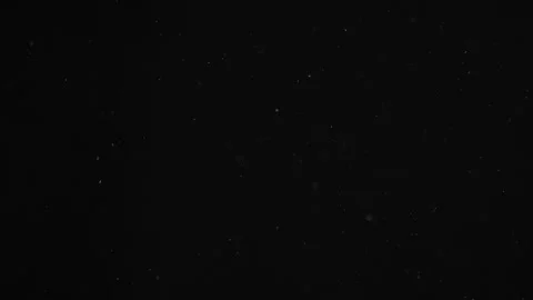 Natural Organic Dust Particles Float On Black Background. Dust In Motion. 库存影片 246880387