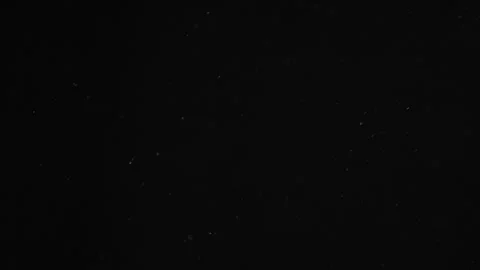 Natural Organic Dust Particles Float On Black Background. Dust In Motion. Stock Footage 246880388
