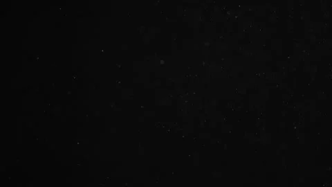 Natural Organic Dust Particles Float On Black Background. Dust In Motion. 库存影片 246880413