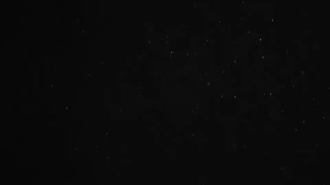 Natural Organic Dust Particles Float On Black Background. Dust In Motion. Vidéo 246880443