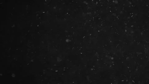 Natural Organic Dust Particles Float On Black Background. Dust In Motion. Stock Footage 246880445
