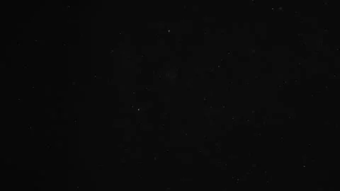 Natural Organic Dust Particles Float On Black Background. Dust In Motion. 库存影片 246880523