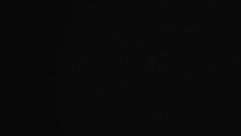 Natural Organic Dust Particles Float On Black Background. Dust In Motion. Stock-Footage 246880616