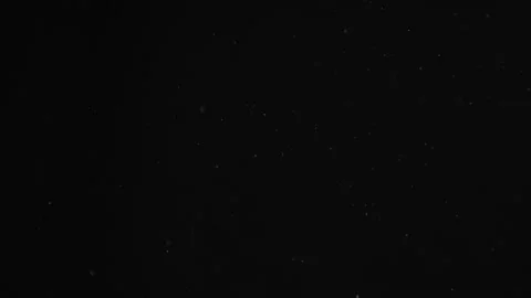 Natural Organic Dust Particles Float On Black Background. Dust In Motion. Stock Footage 246943335