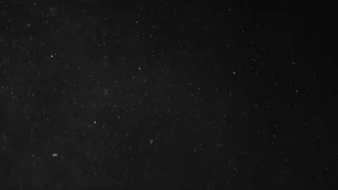Natural Organic Dust Particles Float On Black Background. Dust In Motion. Stock Footage 246943336