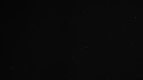 Natural Organic Dust Particles Float On Black Background. Dust In Motion. Stock Footage 246943347