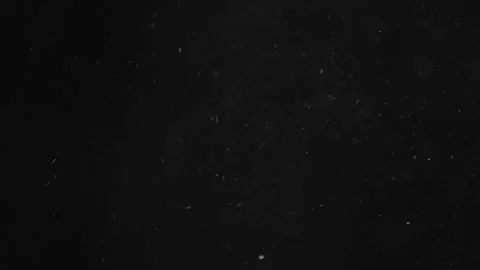 Natural Organic Dust Particles Float On Black Background. Dust In Motion. Stock Footage 246943366