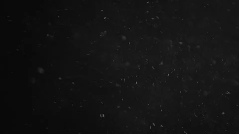 Natural Organic Dust Particles Float On Black Background. Dust In Motion. Stock Footage 246943372