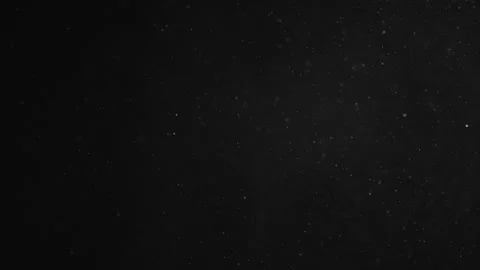 Natural Organic Dust Particles Float On Black Background. Dust In Motion. Stock Footage 246943416