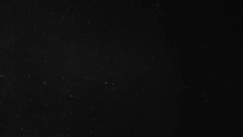 Natural Organic Dust Particles Float On Black Background. Dust In Motion. Stock Footage 246943428