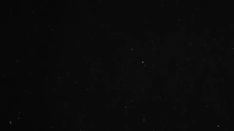 Natural Organic Dust Particles Float On Black Background. Dust In Motion. Stock Footage 246943429