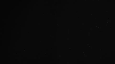 Natural Organic Dust Particles Float On Black Background. Dust In Motion. Stock Footage 246943435