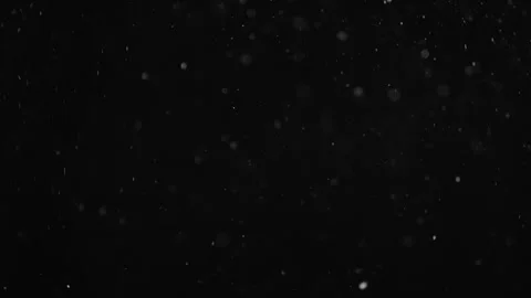 Natural Organic Dust Particles Float On Black Background. Dust In Motion. Stock Footage 246943534