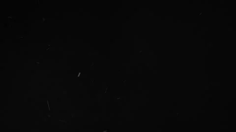 Natural Organic Dust Particles Float On Black Background. Dust In Motion. 库存影片 246943591