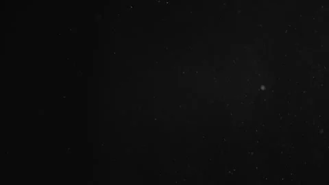 Natural Organic Dust Particles Float On Black Background. Dust In Motion. Stock Footage 246943671
