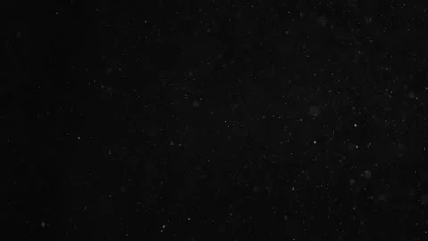 Natural Organic Dust Particles Float On Black Background. Dust In Motion. Stock Footage 246943720