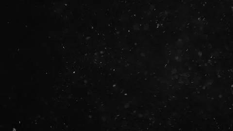 Natural Organic Dust Particles Float On Black Background. Dust In Motion. Stock Footage 246943737